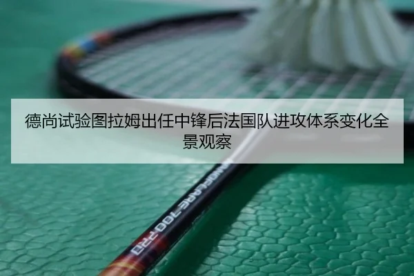 德尚试验图拉姆出任中锋后法国队进攻体系变化全景观察